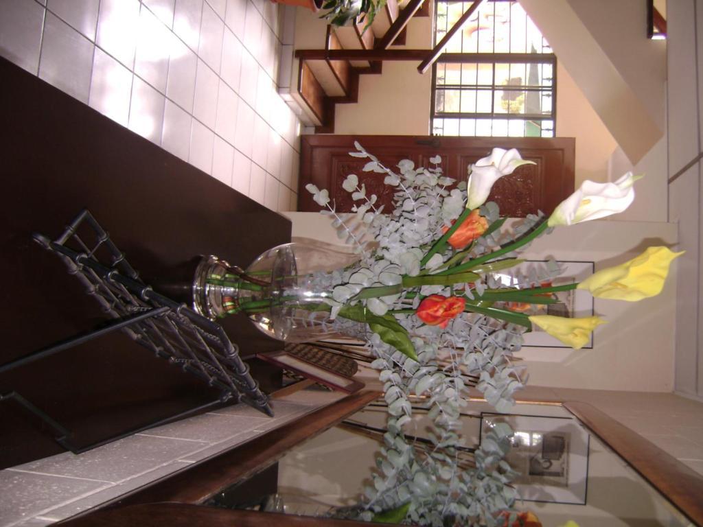 Hotel San Mateo サンサルバドル エクステリア 写真